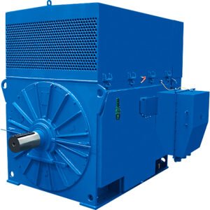 Motor Electrico Trifasico de Media Tension DELCROSA