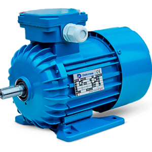 Motor Electrico Trifasico Industrial DELCROSA